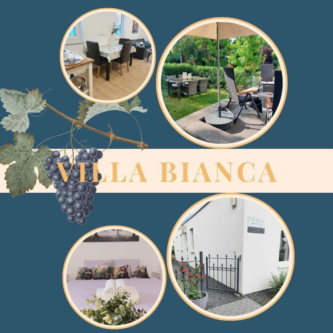 Villa Bianca - Holiday & Business Elsenfeld Экстерьер фото